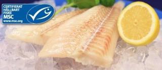 Torskfilé MSC, 110-140 gr