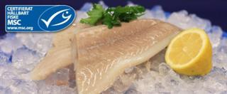 Sejfilé, 125-250 gr MSC