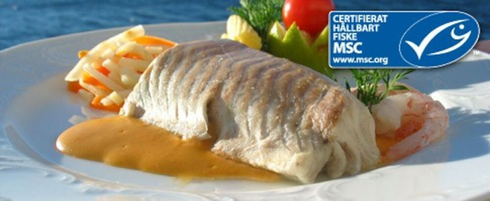 Sej ryggfilé, 100-120 gr MSC