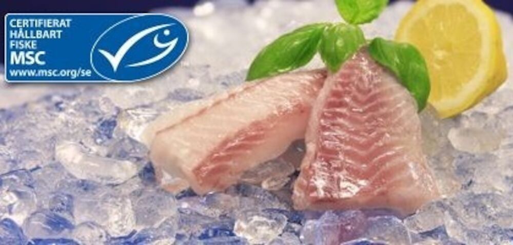 Sej ryggfilé, 120-140 gr MSC