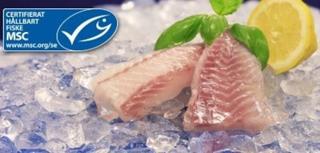 Sej ryggfilé, 120-140 gr MSC