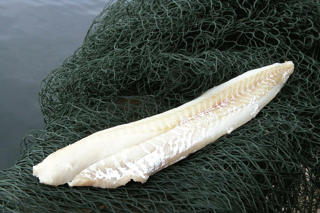 Koljafilé, 125-250 g MSC