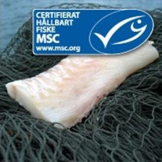 Kolja ryggfilé, 110-130 gr MSC