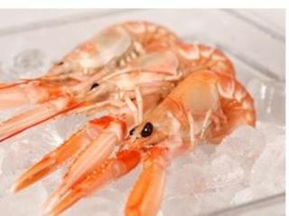 Havskräftor Hela Råa MSC