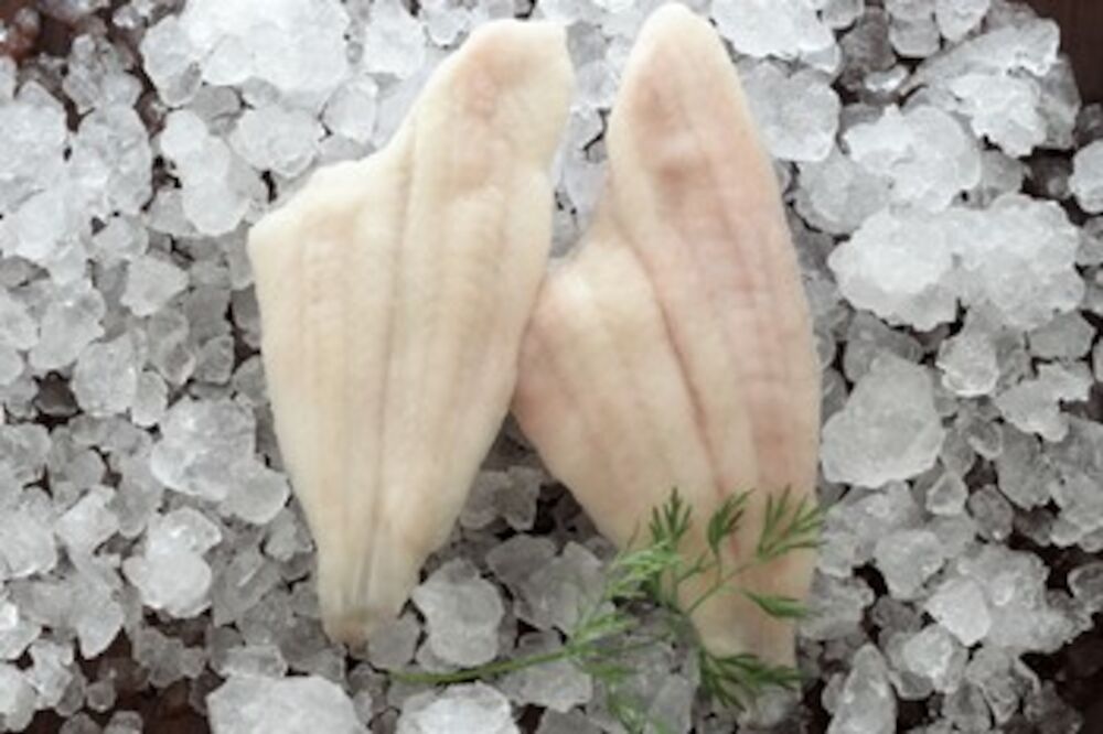 Stillahavskungsflundra 120-160 g