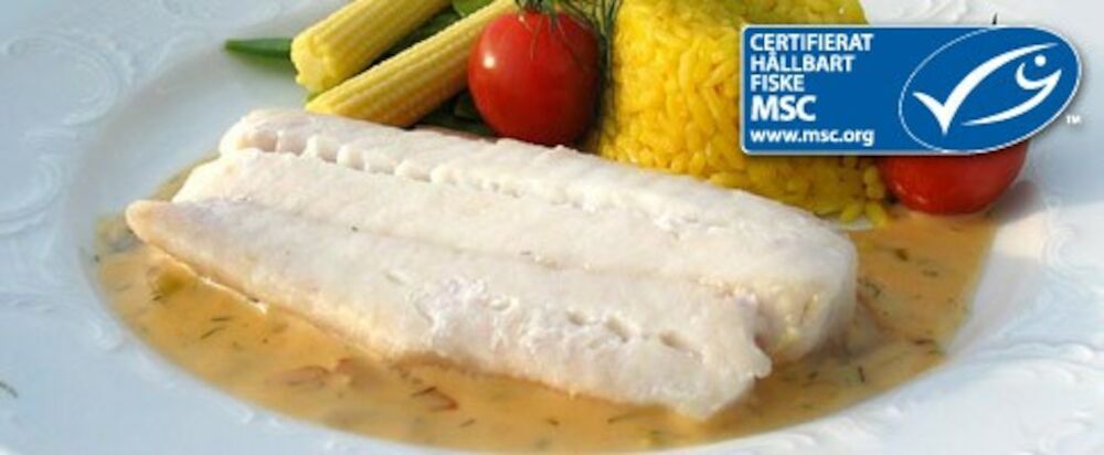 Hoki ryggfilé skinn- och benfri 110-130 g MSC