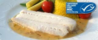 Hoki ryggfilé skinn- och benfri 110-130 g MSC