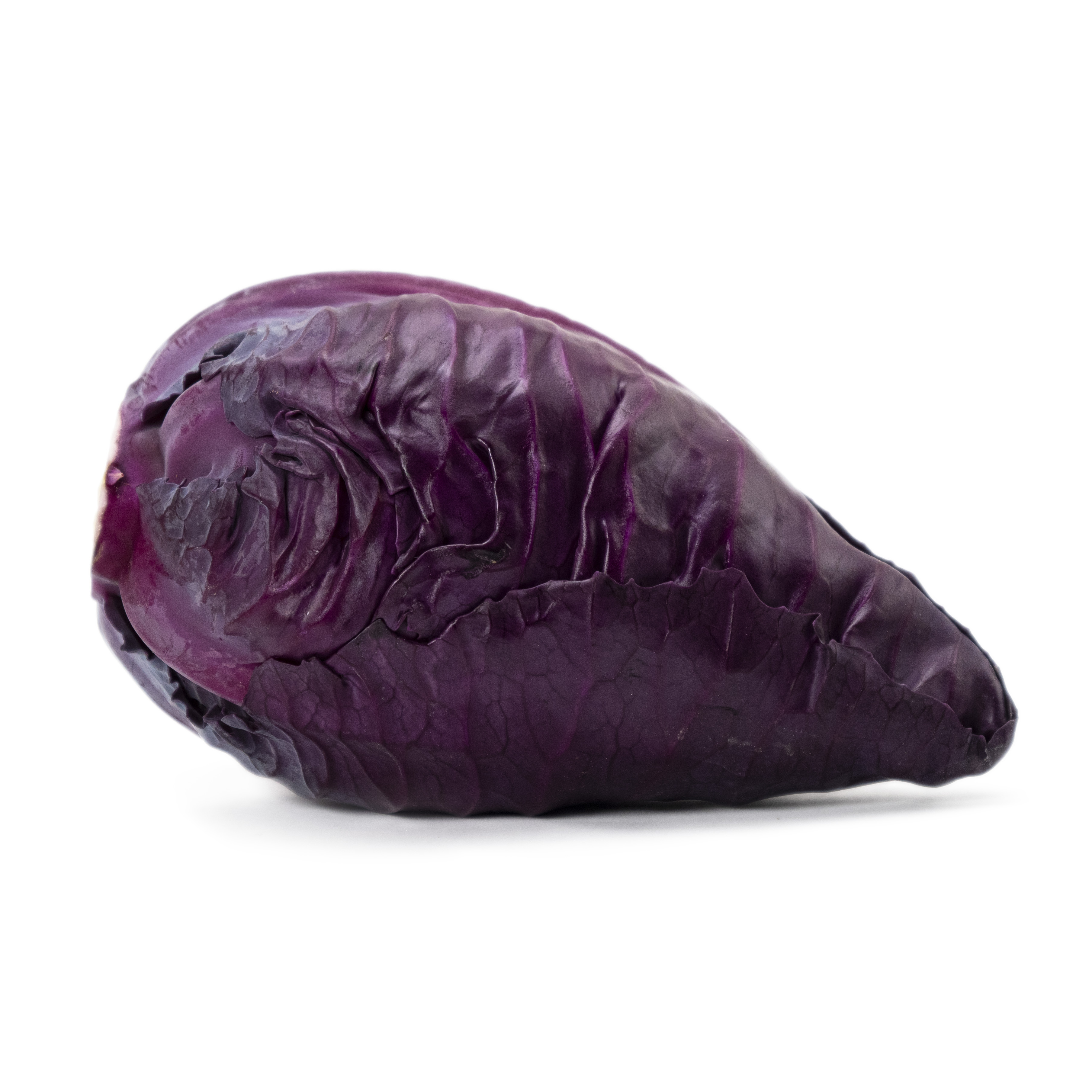 Spetskål röd SE