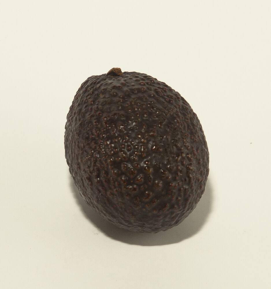 Avokado Stor Hass Klass 1