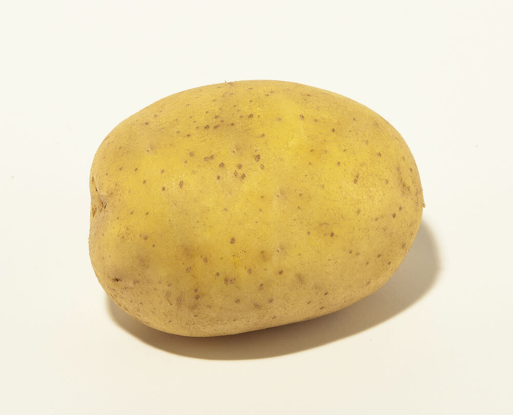 Bakpotatis BigGrill 40s