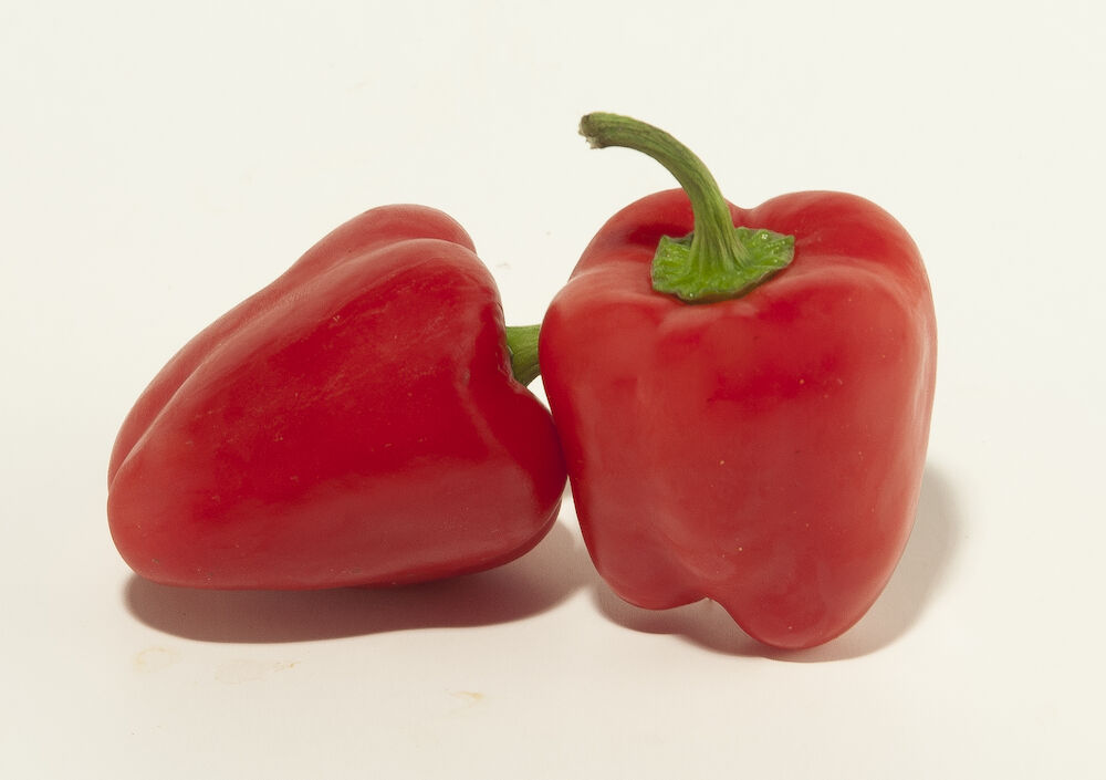 Mini paprika röd