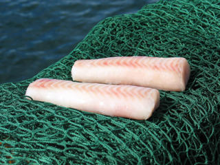 Alaska pollock ryggfilé MSC