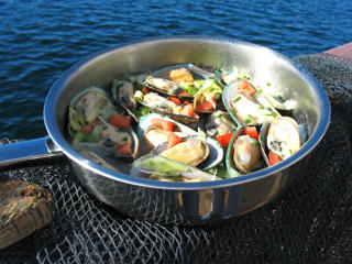 Gröna musslor i halvskal