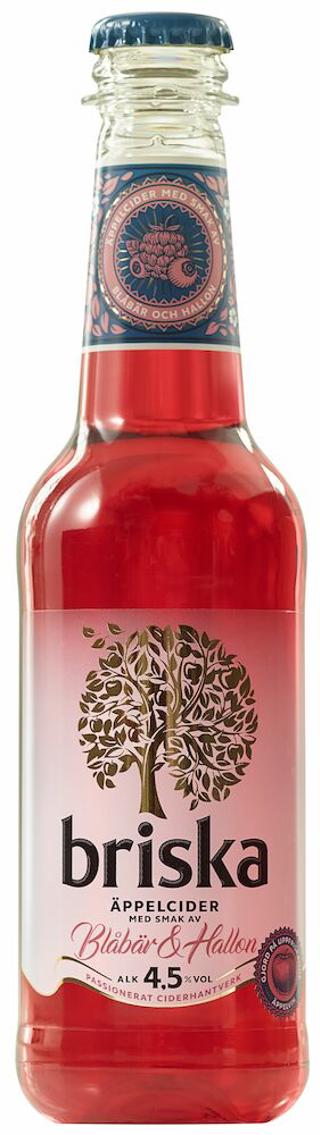 Briska Blåbär o Hallon PET