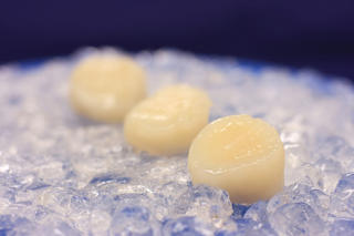 Kammussla/Scallops utan rom MSC (10-20/lb)