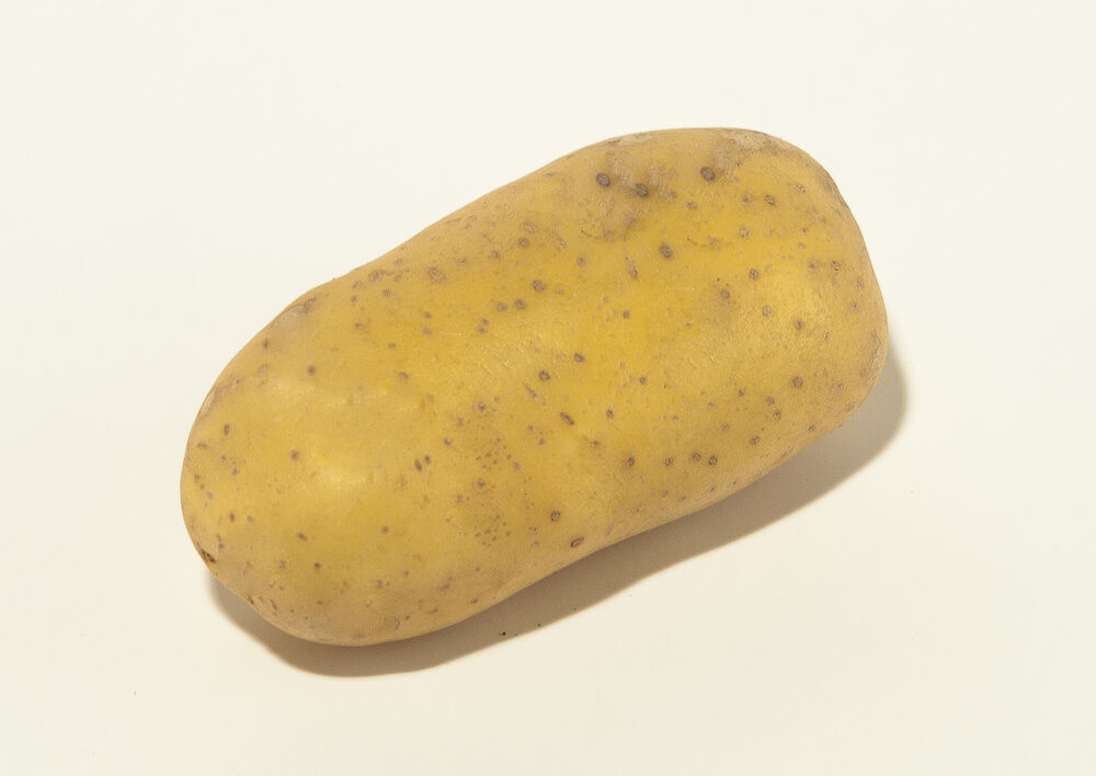 Potatis för tournering tvättad