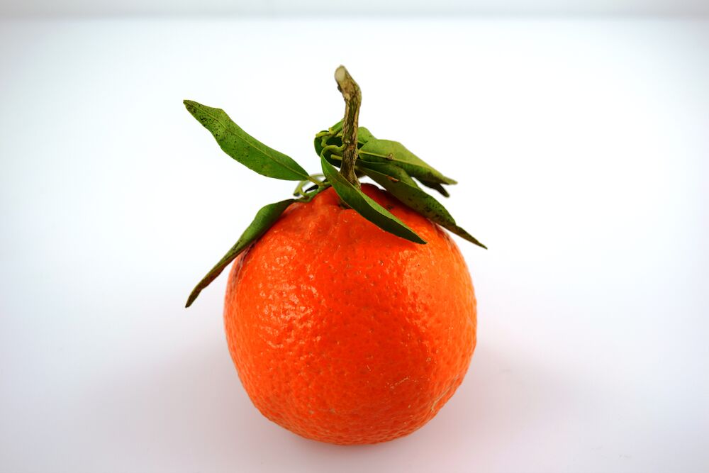 Clementin med blad Clementin Klass 1