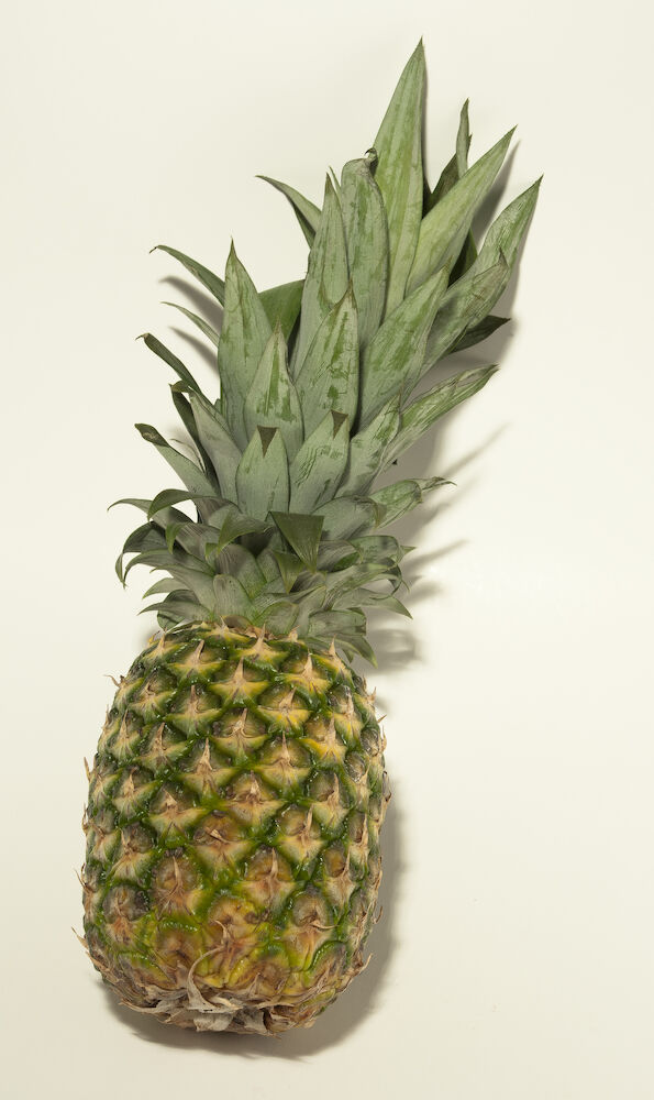 Ananas stor