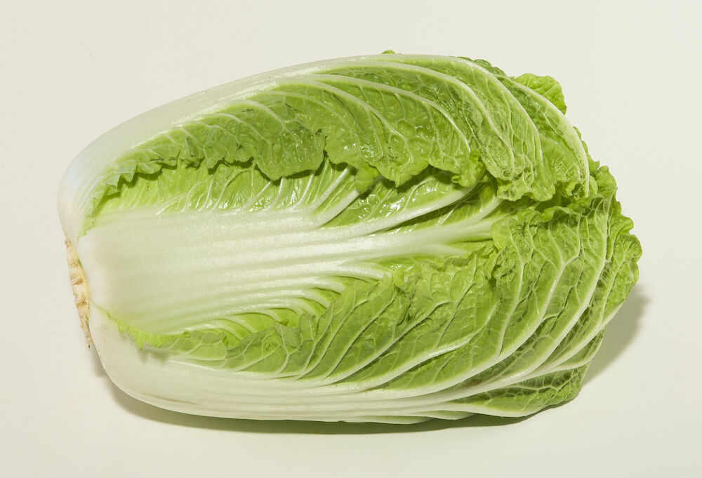 Salladskål