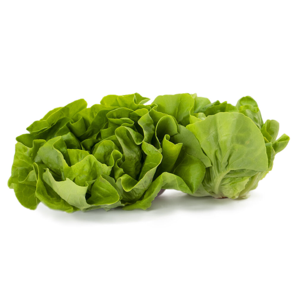 Sallat huvud  Klass 1