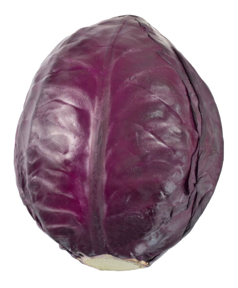 Rödkål SE