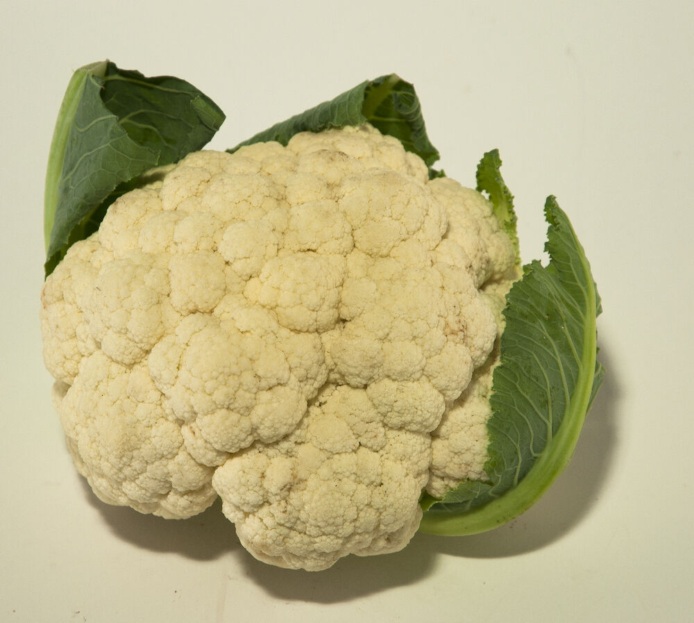 Blomkål