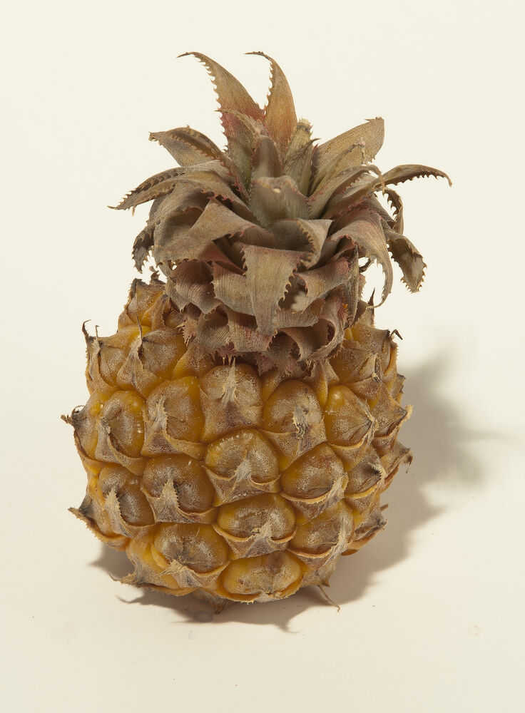 Mini ananas
