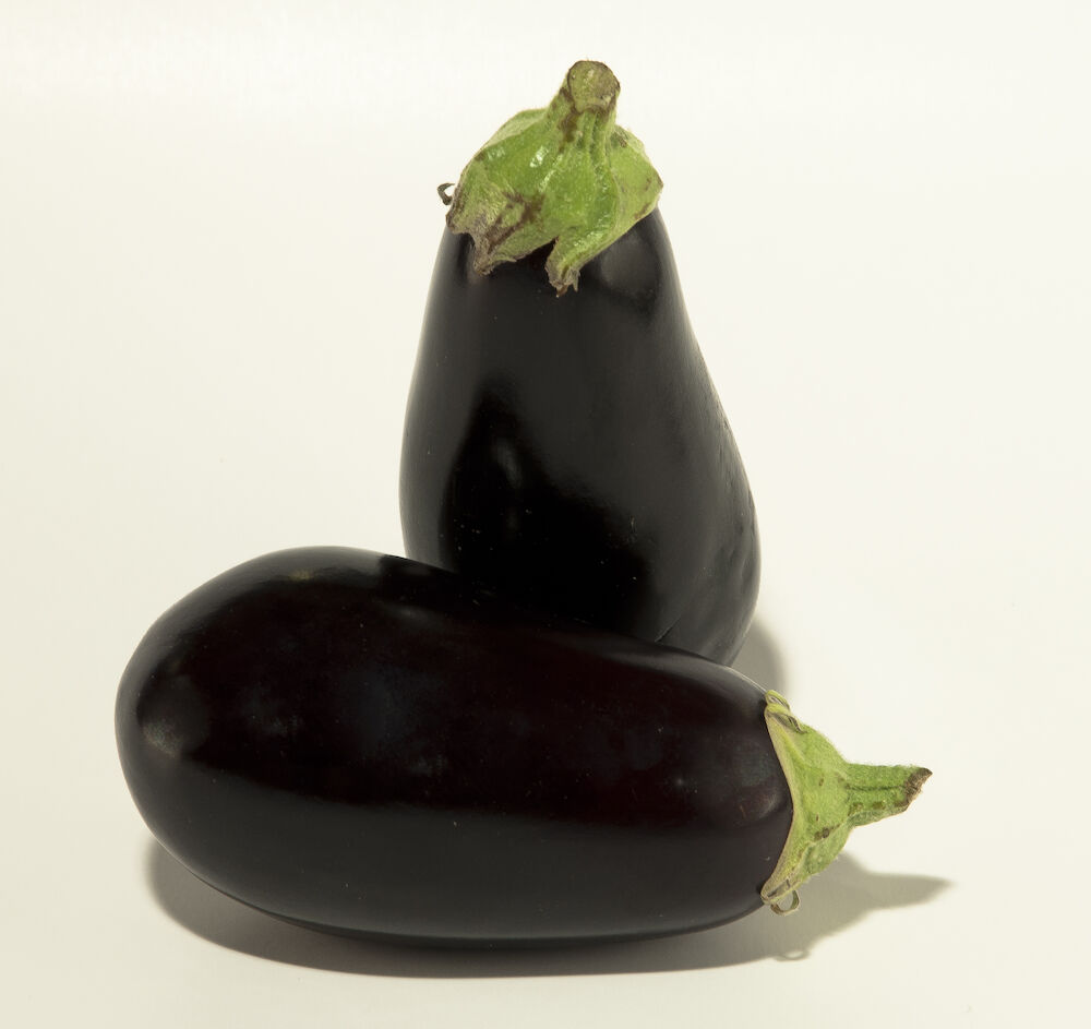 Aubergine