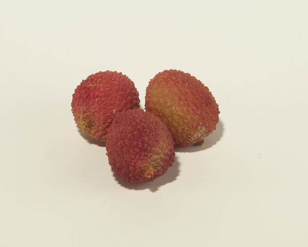 Litchi