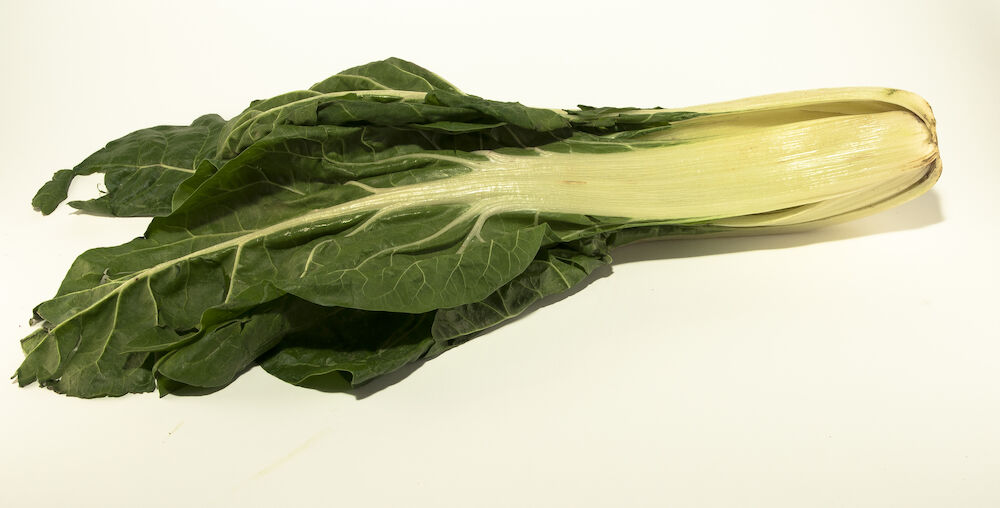 Mangold