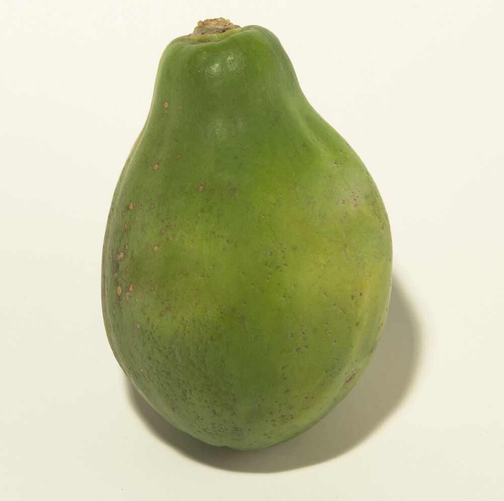 Papaya