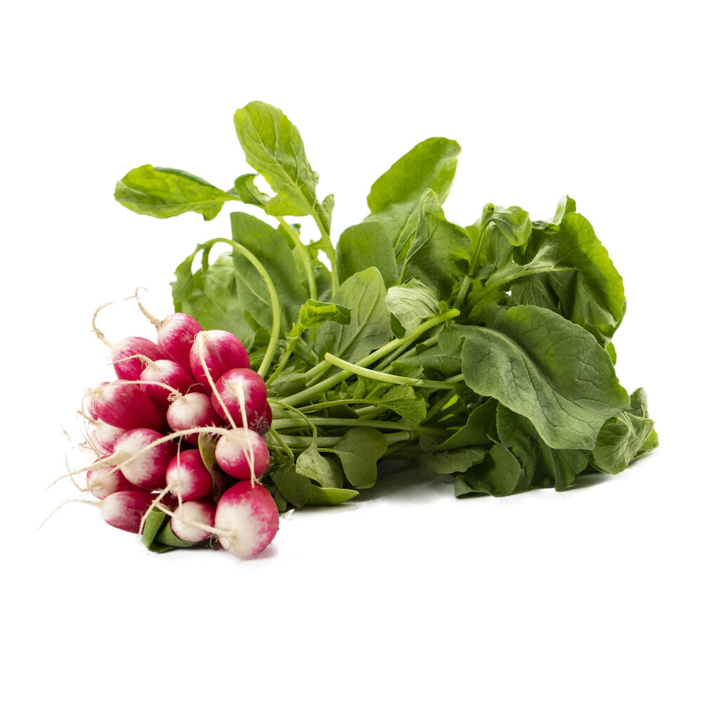 Rädisa knippe