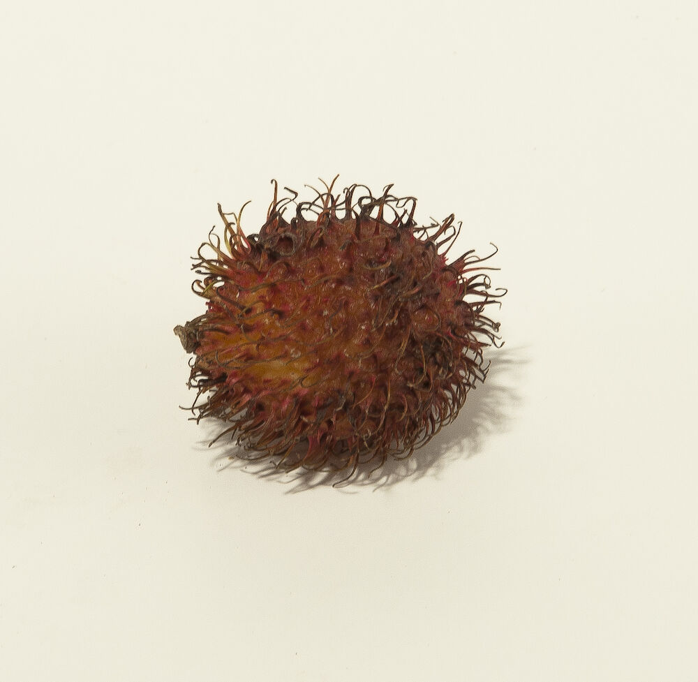 Rambutan