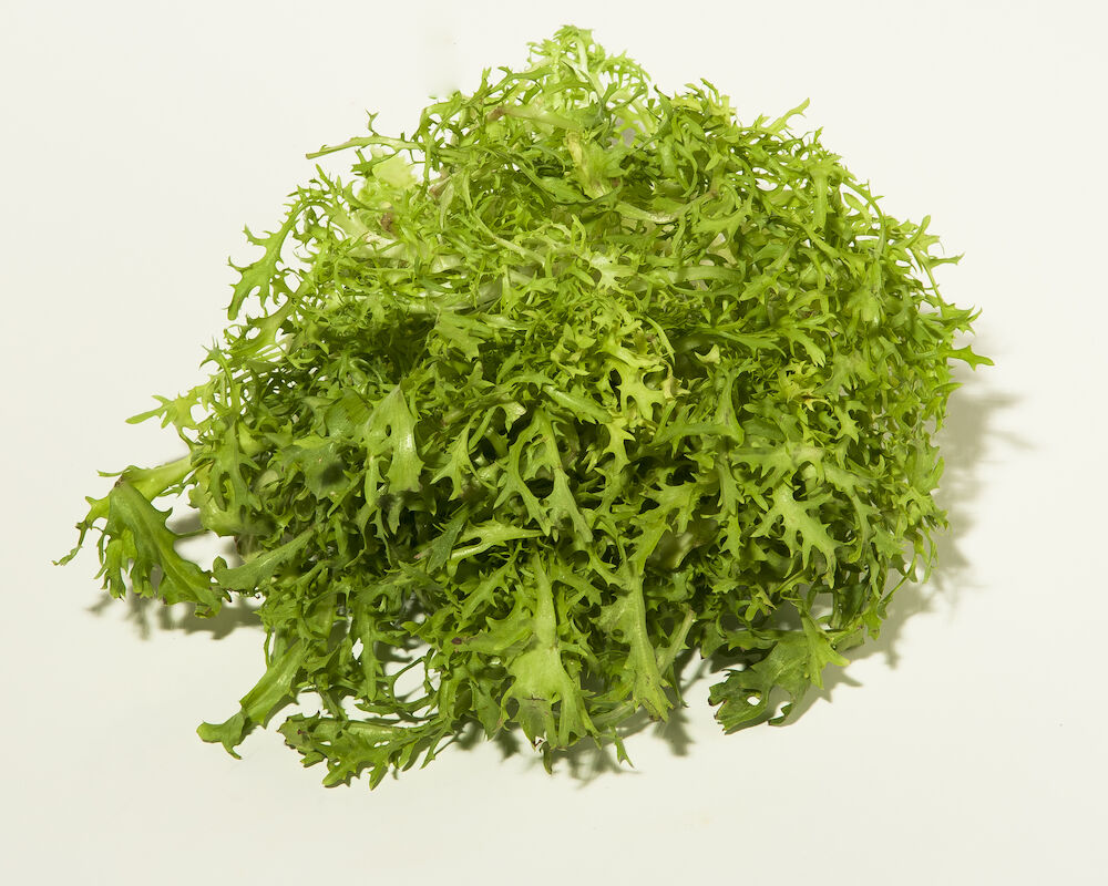 Sallat frisee grön  Klass 1