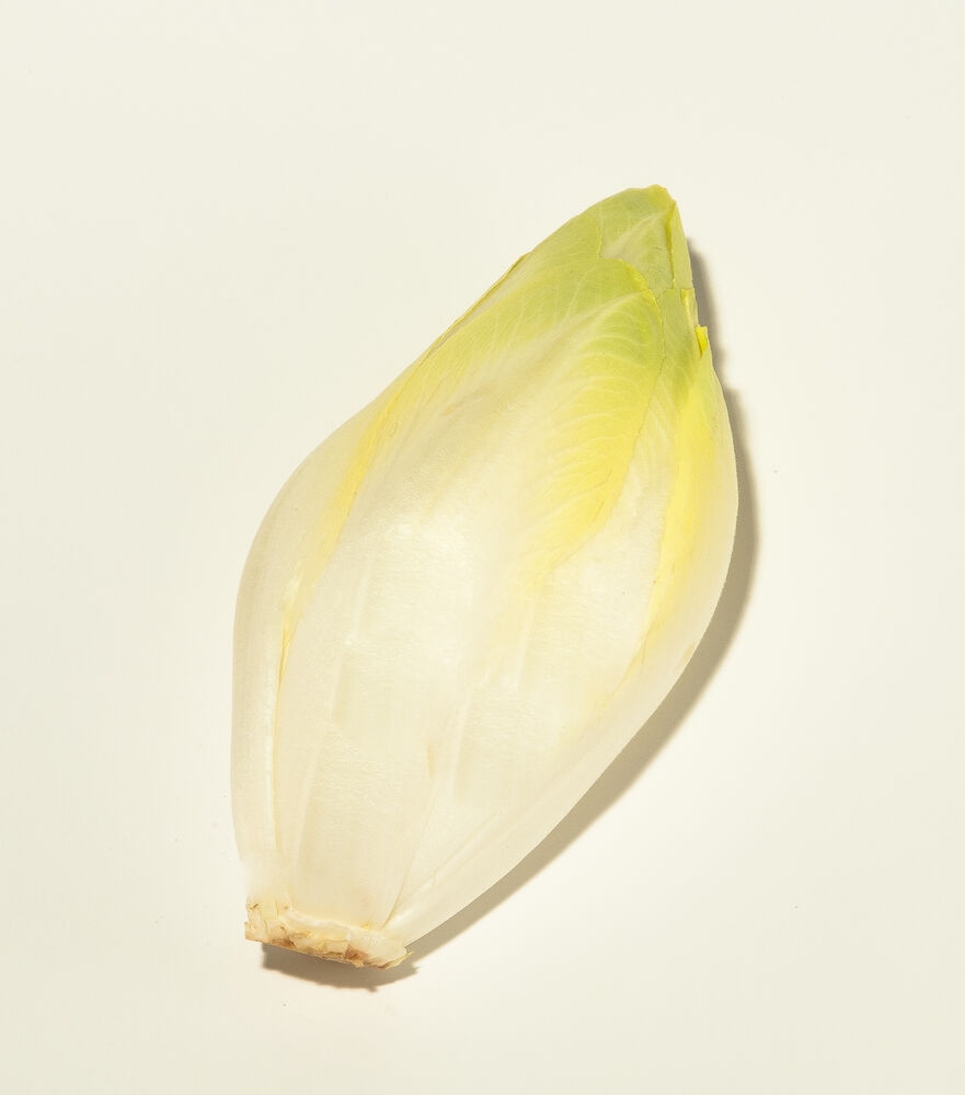 Sallat endive  Klass 1