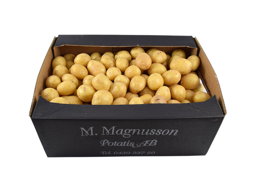 Färskpotatis kul tvättad SE