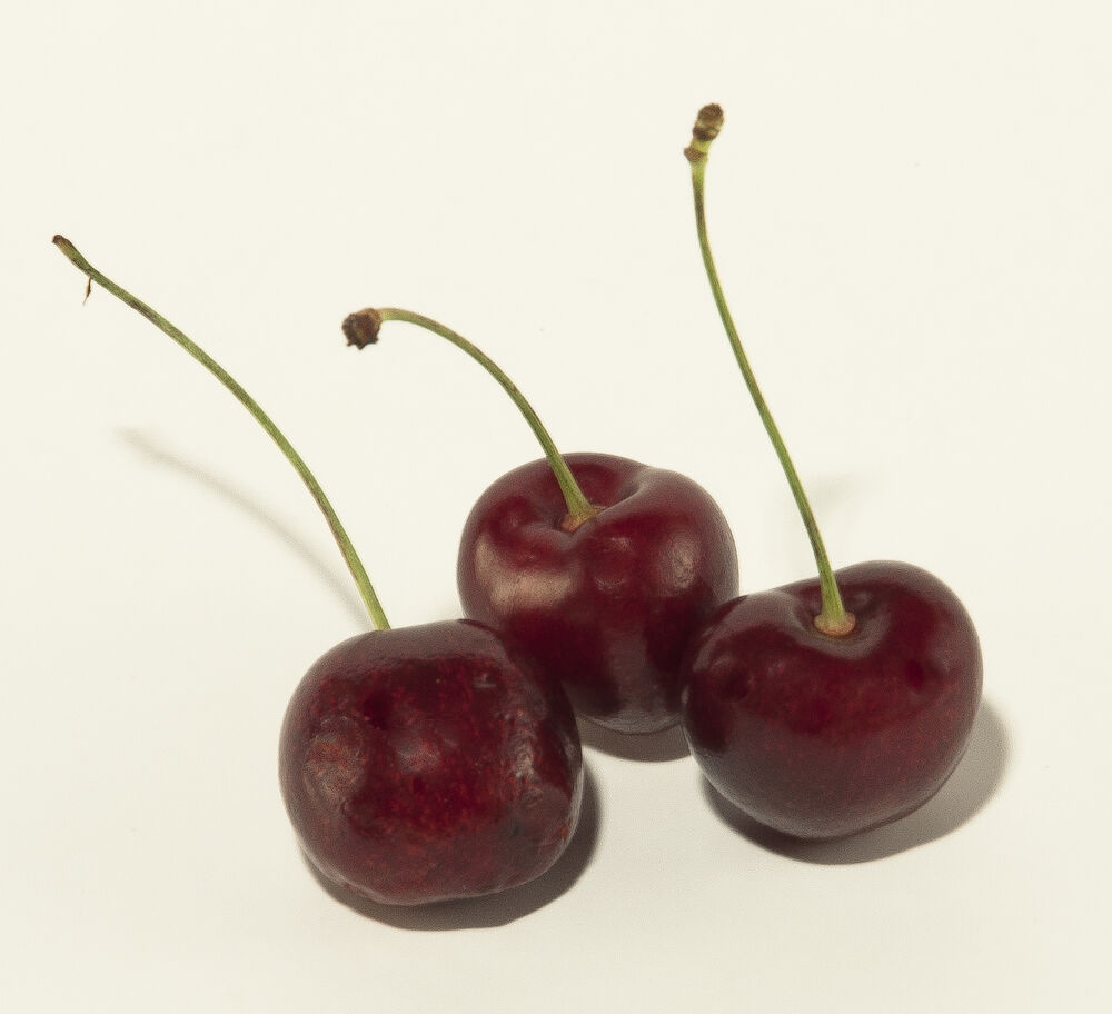 Bigarråer körsbär