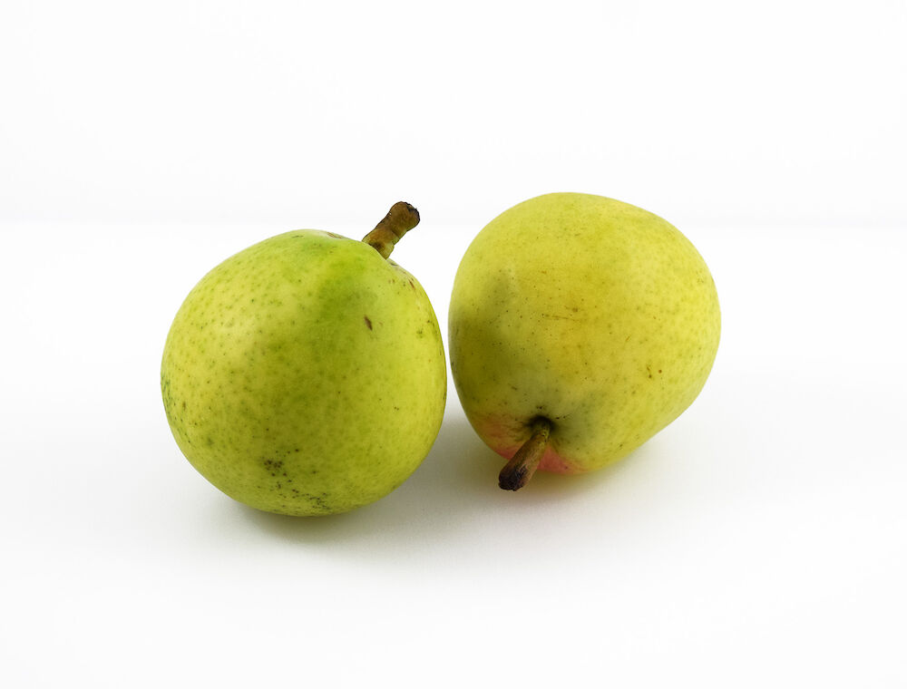 Päron Santa Maria  Klass 1