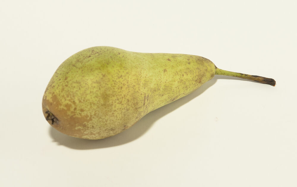 Päron Conf stor 1-lav  Klass 1