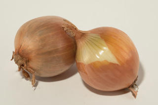 Gul lök medel Klass 1 SE