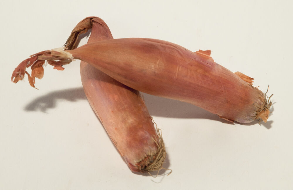 Lök bananschalotten  Klass 1