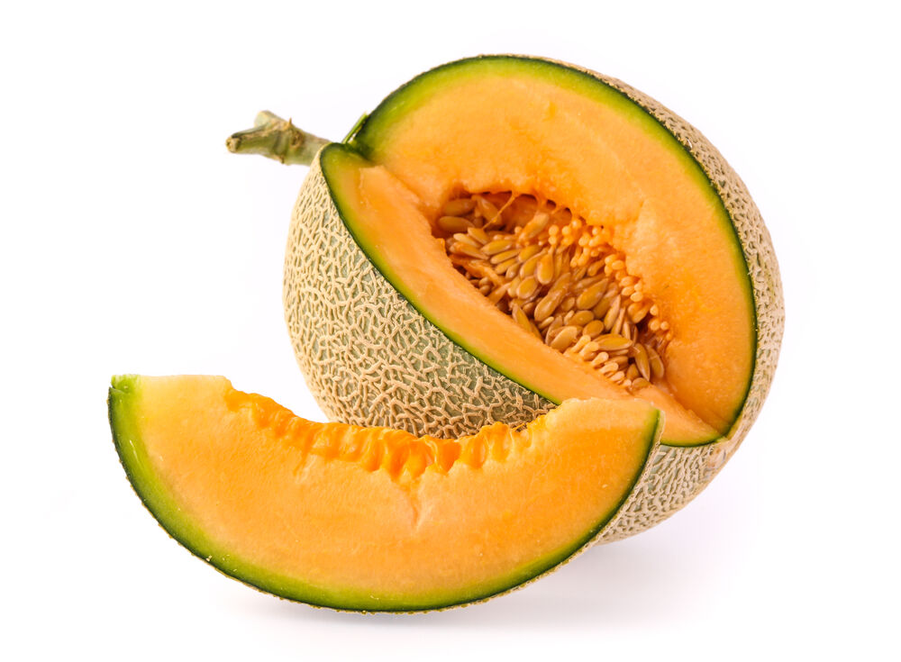Melon cantaloupe