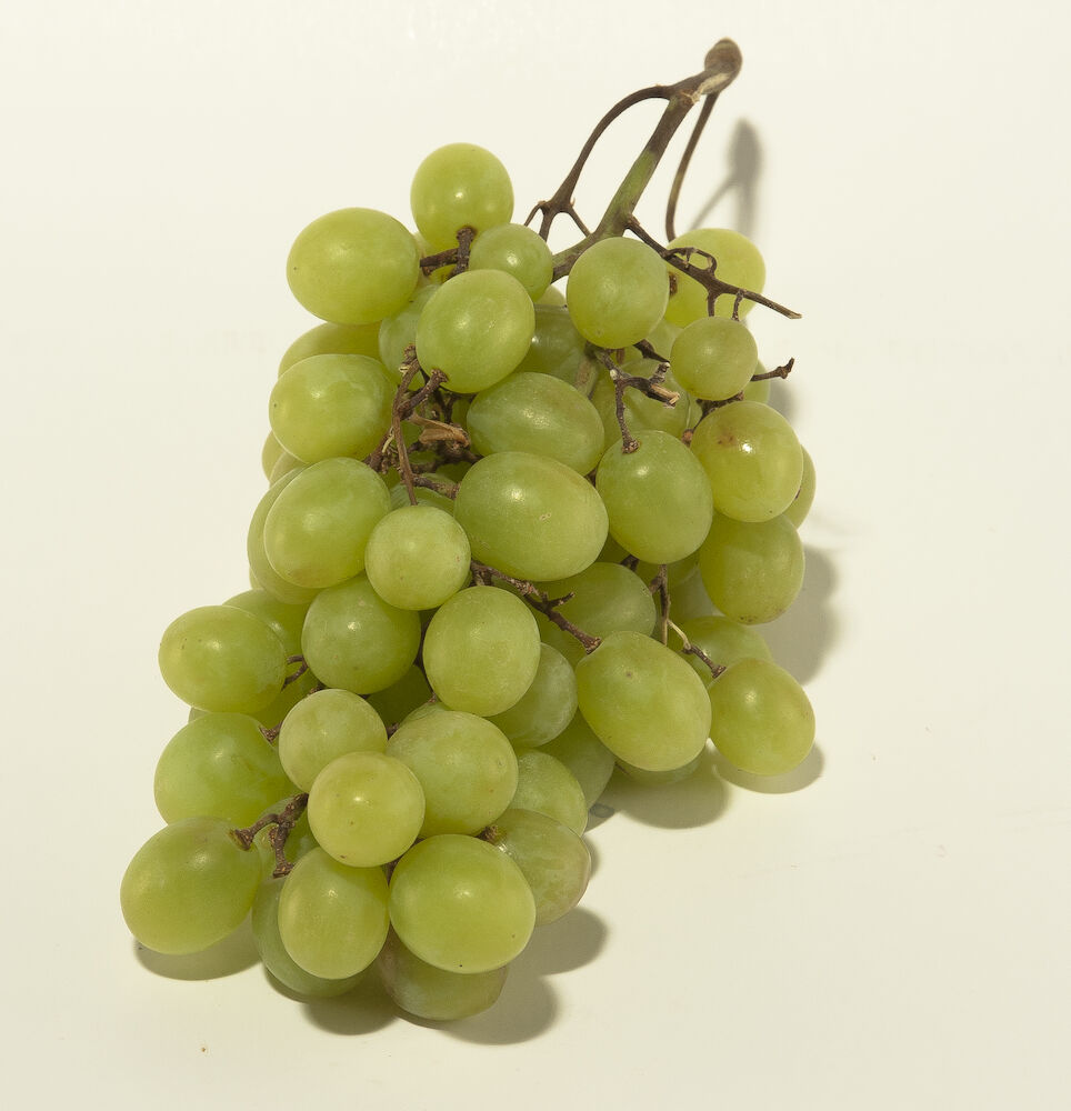 Druva grön kärnfri Gröna Klass 1