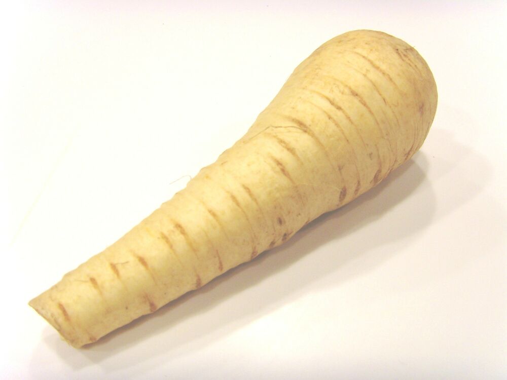 Palsternacka EKO  Klass 1