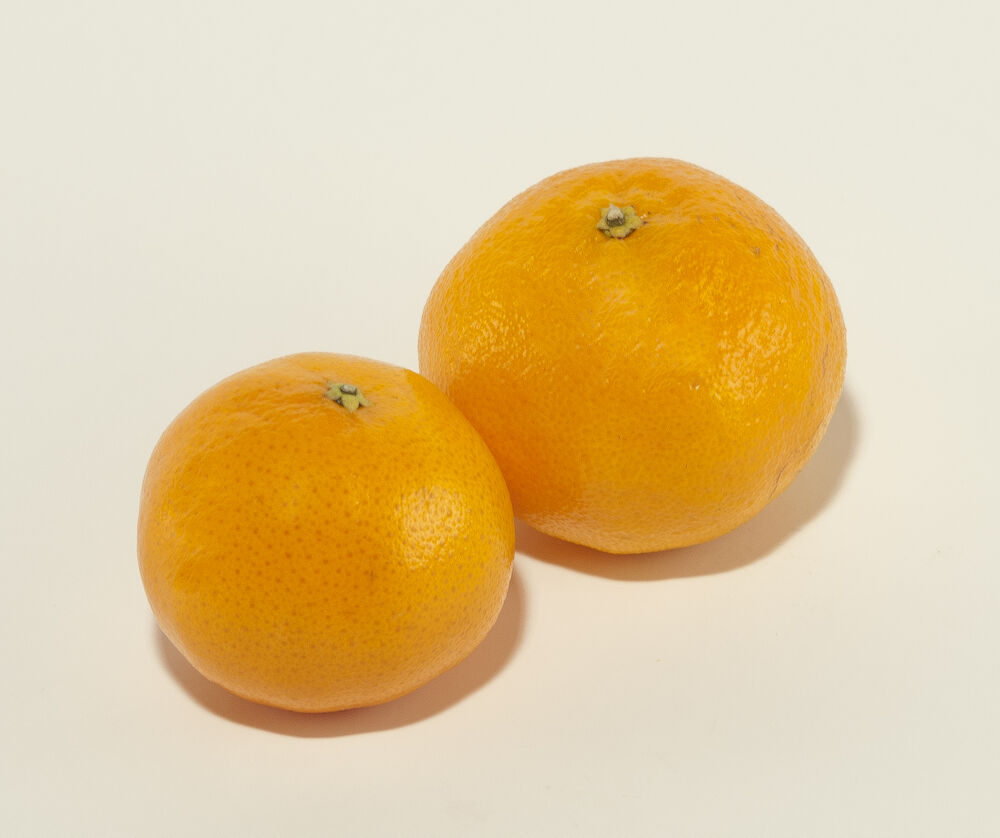 Clementin EKO Clementin Klass 1