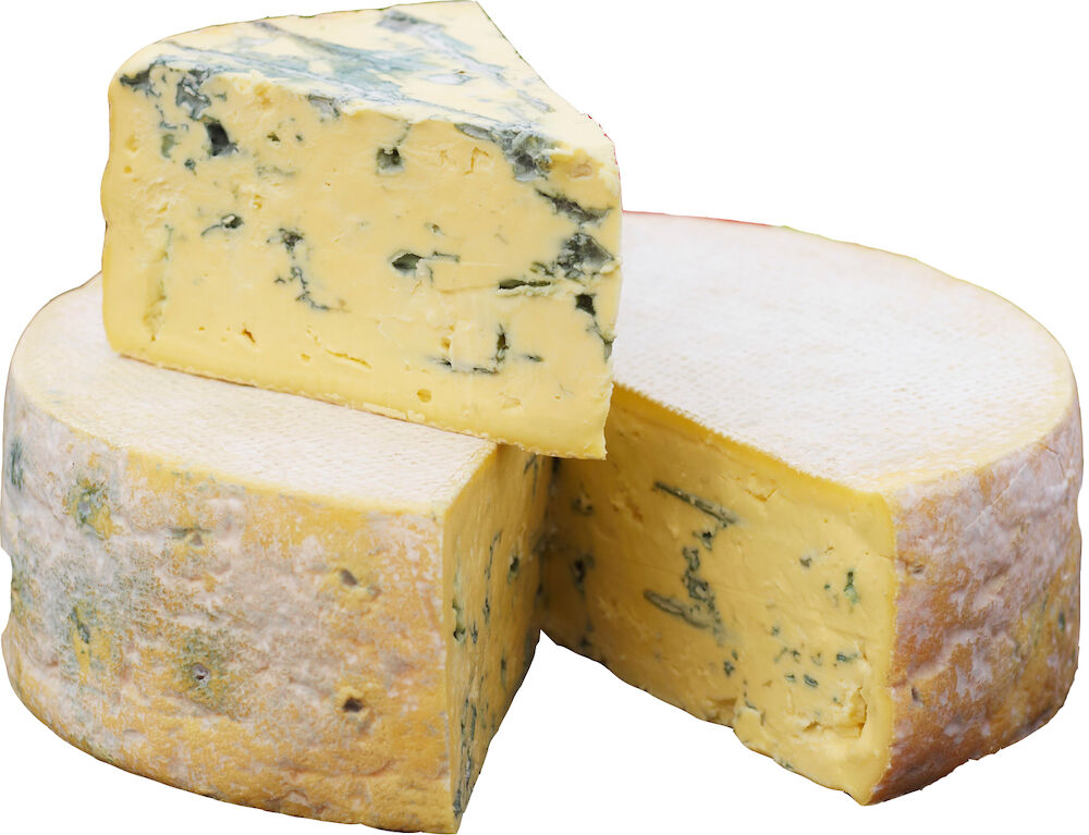 Blå Kornblomst 36% EKO