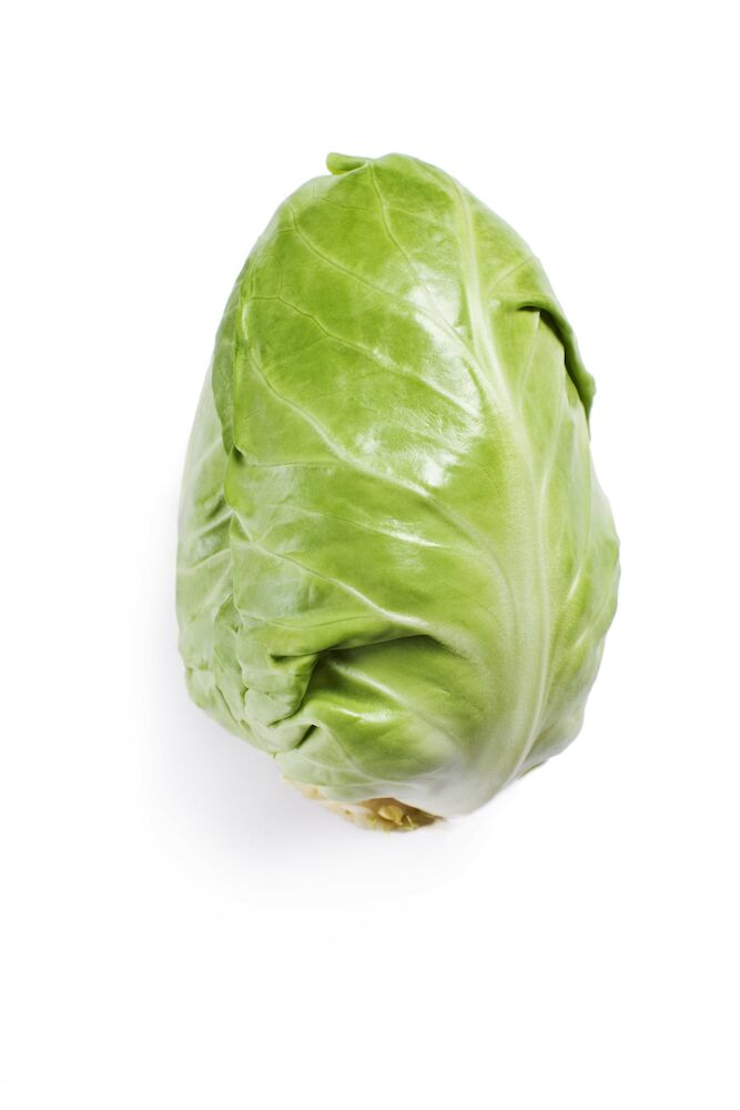 Spetskål