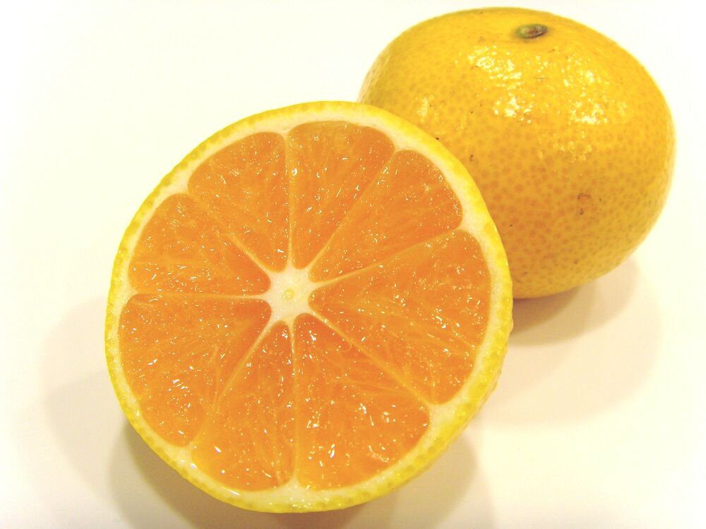 Satsumas Satsumas Klass 1