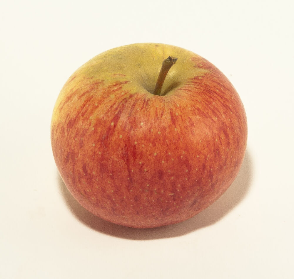 Äpple Royal Gala  Klass 1