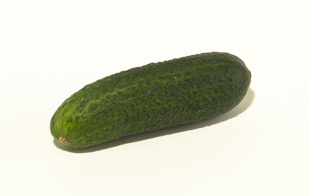 Västeråsgurka SE